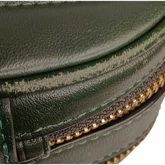 Coach Jes C1569 Green Puffy Linear Quilted Leather Crossbody Purse Camera Bag - Picture 12 of 16